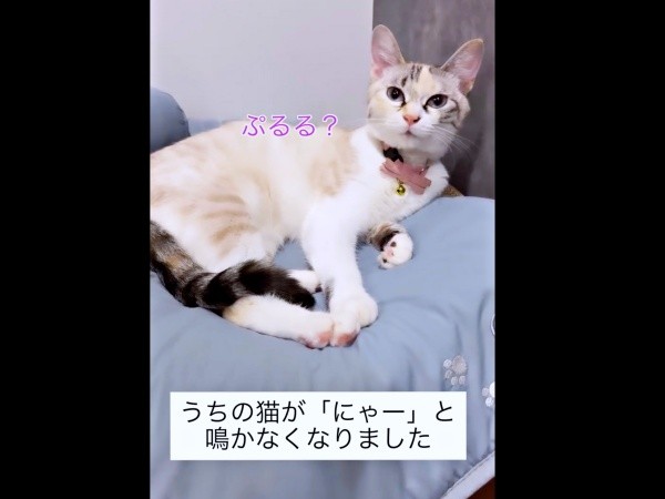 成長にともない、鳴き声に変化が現れたおくらちゃん（画像提供：soranohiさん）