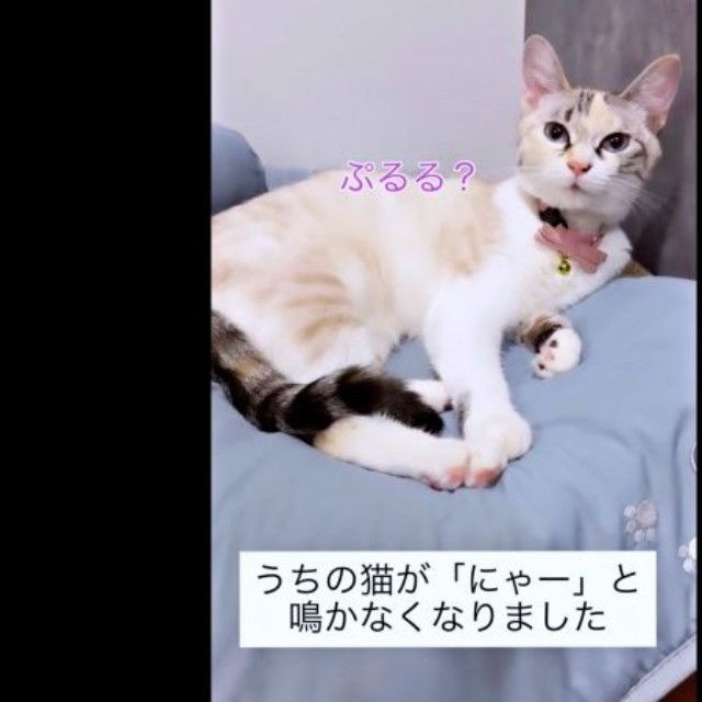 成長にともない、鳴き声に変化が現れたおくらちゃん（画像提供：soranohiさん）