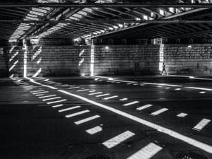 試されていたのは、企業の犬になれるかどうかでしかなかった