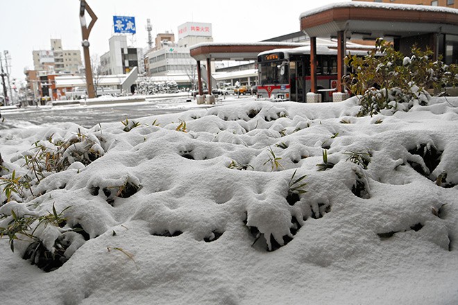 Heaviest Snow in 7 Years Strikes Tokyo