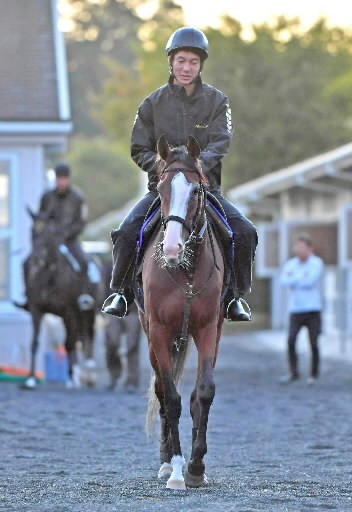 競馬界のミニモニ。Ｇ１最小体重優勝馬の記録更新なるか 菊花賞に挑戦するメロディーレーン｜まいどなニュース