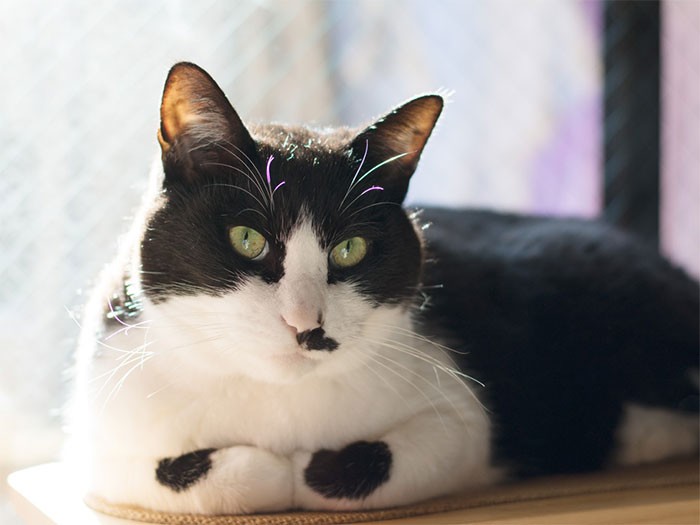 見晴台の上で、まったり。「また写真、撮るのー」（小林写函撮影）