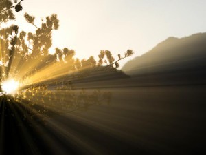 人と比べる癖にとらわれ続けた先に見たのは、自分自身を愛すること