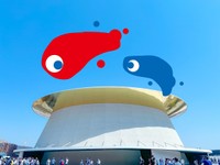 シャインハットに浮かぶこみゃく。気持ちよさそうです