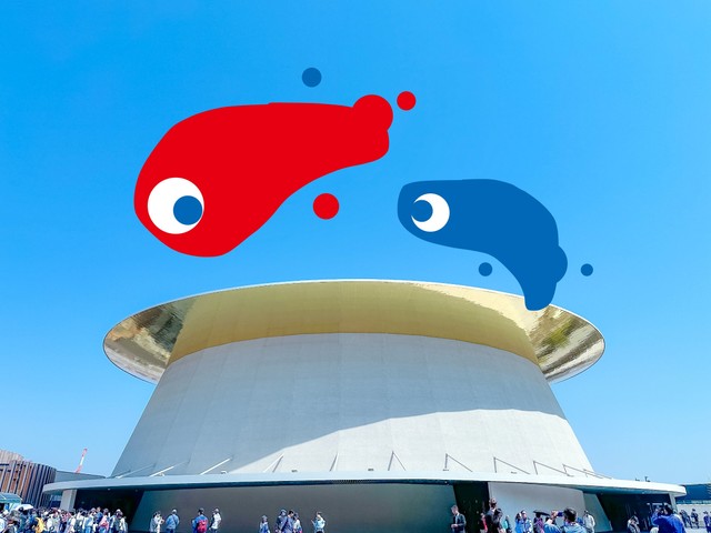 シャインハットに浮かぶこみゃく。気持ちよさそうです