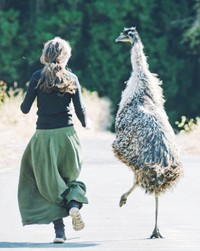 【アフター写真】2年たち、エミューちゃんの身長は180センチに（提供：砂漠さん）