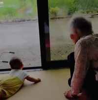 一緒に外を眺めるだけで幸せ（提供動画よりスクショ）