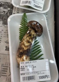 国産松茸が1000円！？（たびぼっちさん提供）