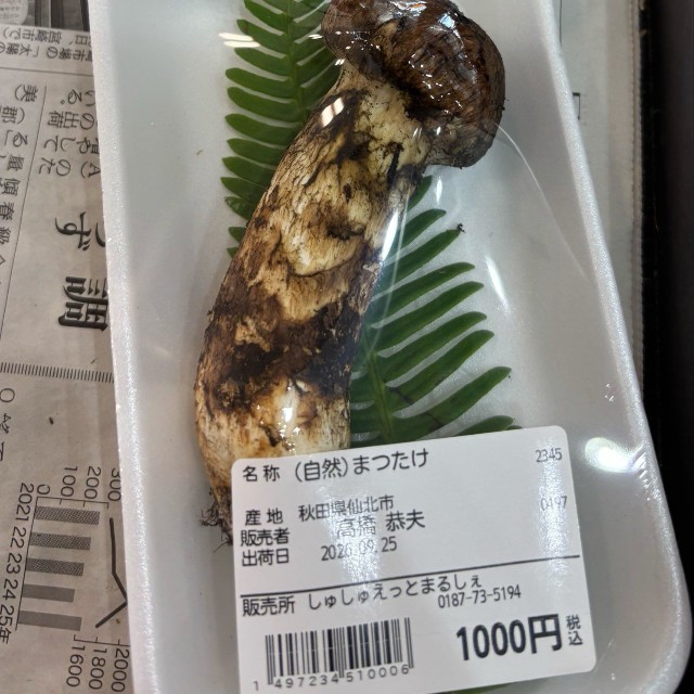 国産松茸が1000円！？（たびぼっちさん提供）