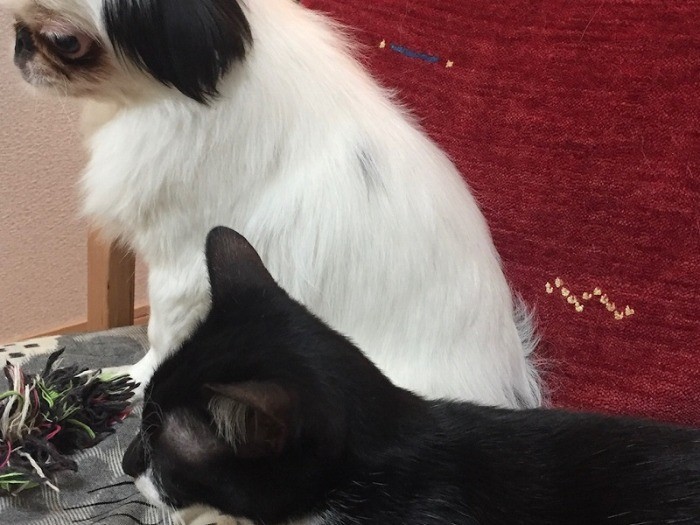 付かず離れず、ほどよい距離感