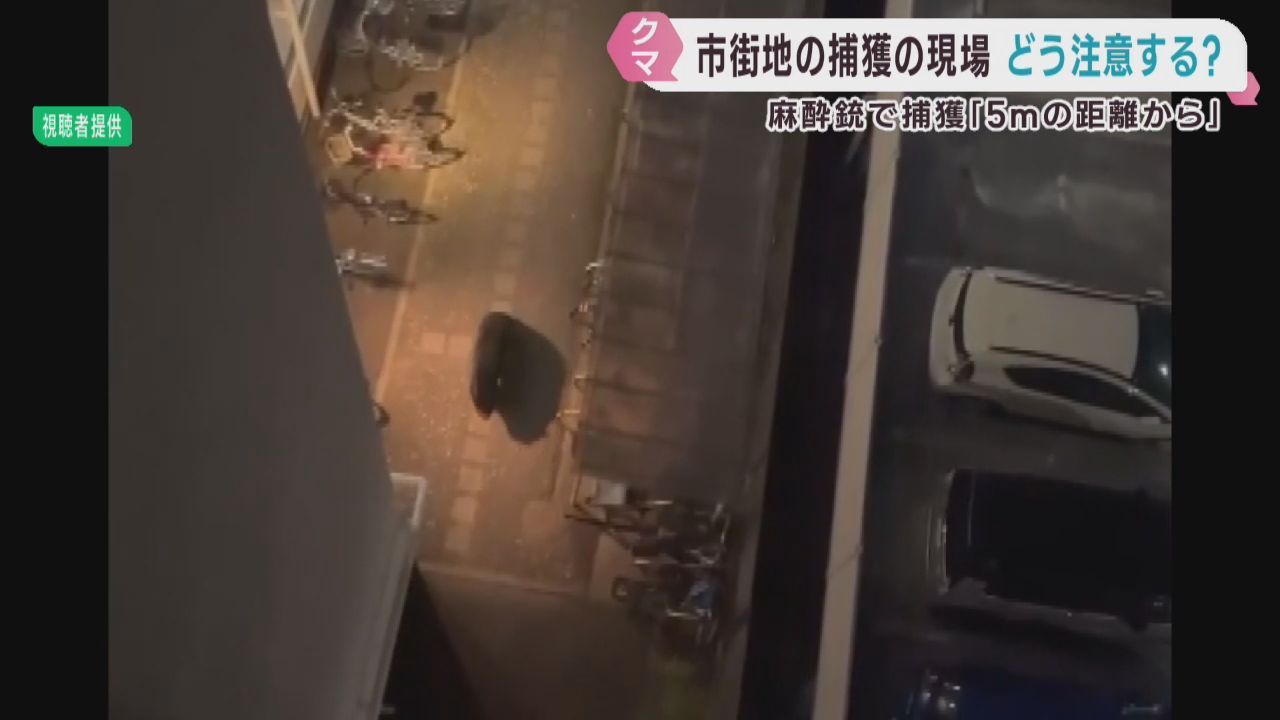仙台市の市街地にクマ居座る　当時の状況と注意点を専門家に聞く　１９日