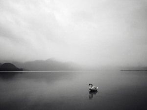 いじめられていることに気付かなかった私。心の傷は癒えないけれど