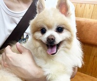 用心深く人見知りもある一方、一度心を開けばこんな笑顔に