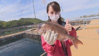 東かがわ市引田で海釣り体験！