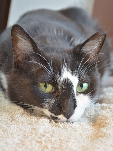 息子の笑い声がきっかけで夜鳴きが止んだ（宏美さん提供）