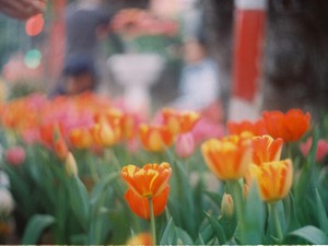 たった一つの動画で出会った彼に照らされた心。誰にも言えない恋の話