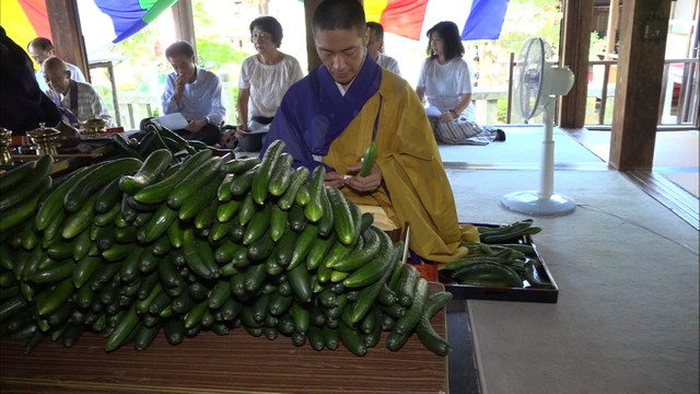 土用の丑の日に無病息災を祈る「きゅうり加持」香川・小豆島
