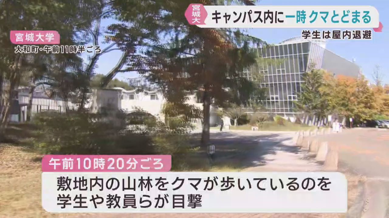 宮城大学のキャンパスでクマの目撃情報　学生は建物に避難　宮城・大和町