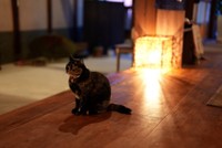 入口の土間でお客さんをお出迎え