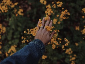 サードカルチャーに揺れる心。自分とは何か、考えてもわからなかった