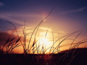 地下鉄で貧血になってから、LAかパリのサロンで働こうとワクワクした