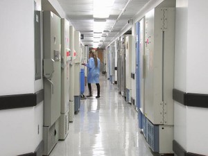 看護師という憧れは甘くなかった。バカにされながらも叶えた先に