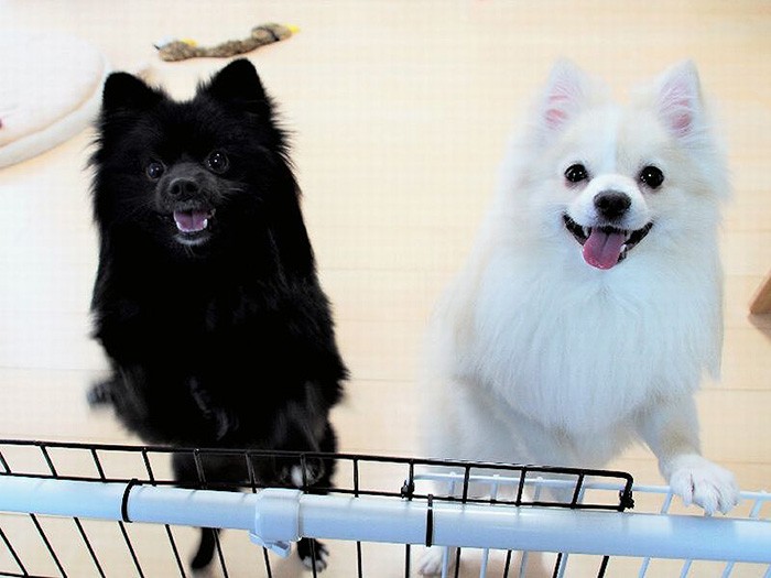 「一緒に遊ぼうよ」