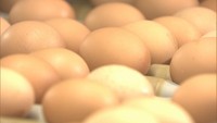 【解説】卵が品薄・高騰…　岡山・香川での影響は？