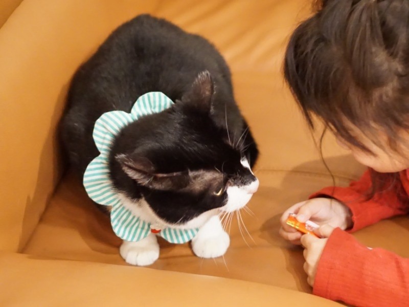 「おかあさんの本当の姿は……」
