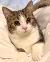 魂が入っている時＝しずわらひなたさん（@shizuwarahinata）提供