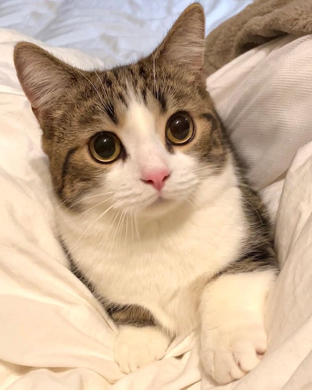 魂が入っている時＝しずわらひなたさん（@shizuwarahinata）提供