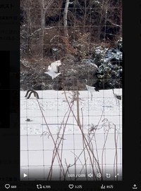 前澤友作氏のX(旧ツイッター)＠yousuck2020より