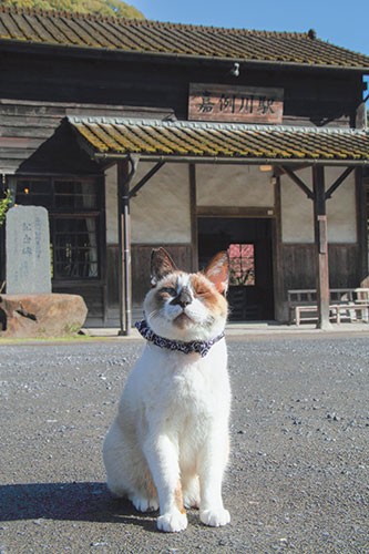 「勤務不定期につき、ボクに会えたら、超ラッキーだよ！」