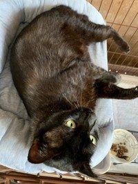 ケージ生活の頃