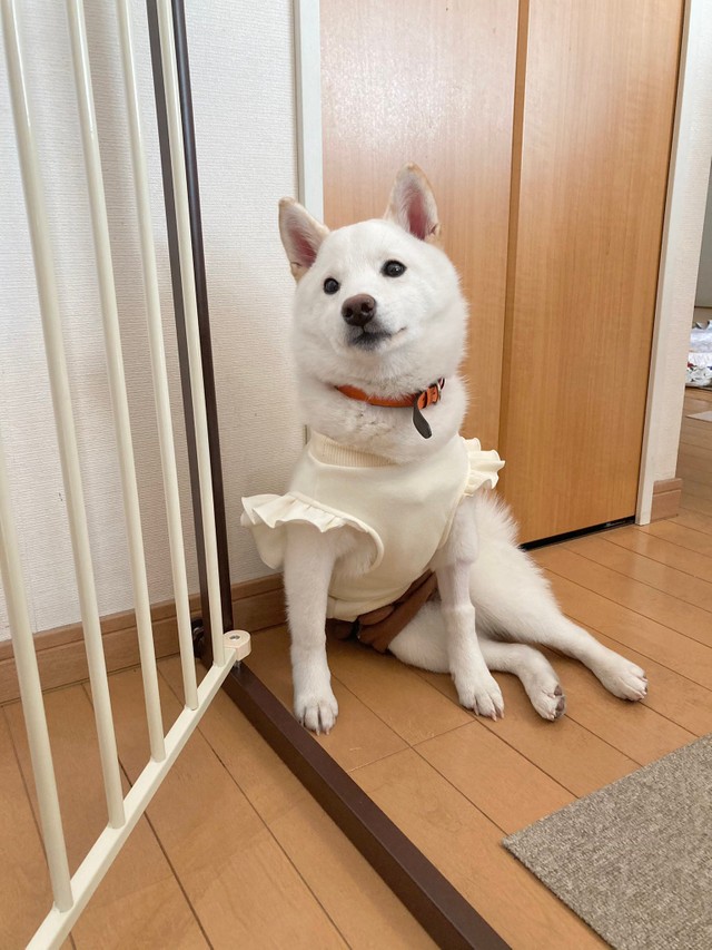 ゆきみちゃんの2022年の願い事は『ファッションセンスが磨かれますように』（提供写真）