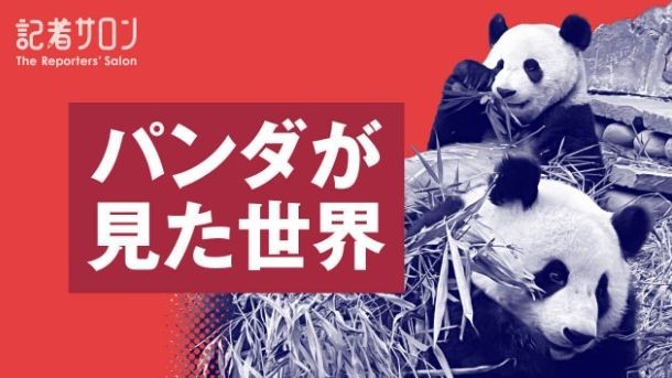 朝日新聞のイベント記者サロン「パンダが見た世界」の告知画像