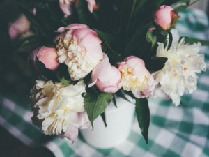 友達だと思っていた彼女が近づきたかったのは、私じゃなく旦那だった