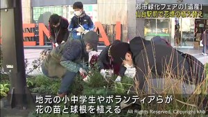 全国都市緑化仙台フェアの遺産を継承　花壇の植え替え　仙台駅前