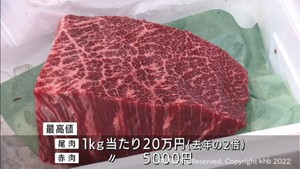 ニタリクジラ生肉の競り　希少部位は１キロ２０万円で取引　百貨店では販売会開催