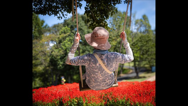 赤磐市のデジタルフォトコンテスト 入賞作品が決定　最優秀賞は「ドイツの森」の写真　岡山