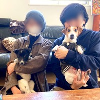 家族でパシャリ！ ママに抱っこされるさぬきちゃんとパパに抱っこされる先住犬の福太くん（画像提供：バーバラ村田さん）