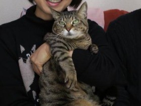 夫婦と雄猫４匹が同居　猫だらけの家は「賑やかな猫男子寮」