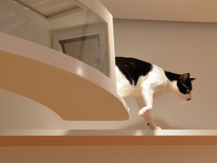 やってきました、よいしょっと