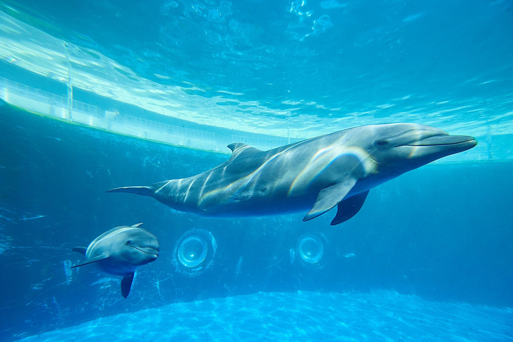 9fbd83822989bf92f37f04b4c8979f