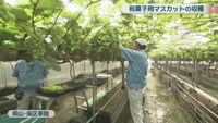 源吉兆庵グループの自社農園　岡山・南区東畦