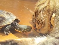 仲良しなのが伝わってきます（飼い主さん提供）