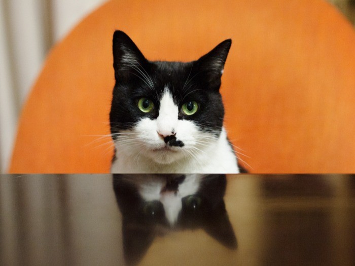 「僕のおやつはどーなってるの」（小林写函撮影）