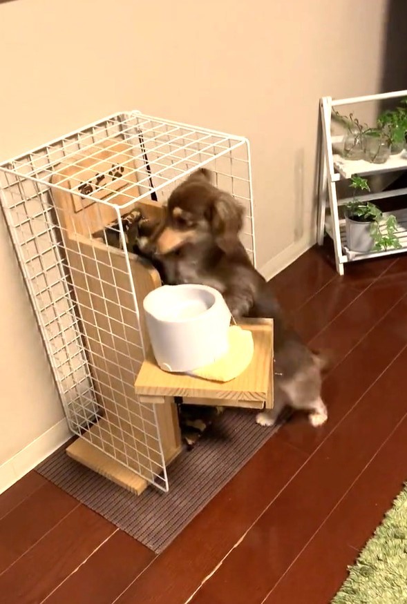 中に入ります（おとさん提供、Twitterよりキャプチャ撮影）