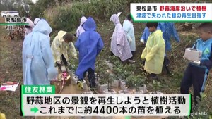 津波で失われた海岸線の緑を再生　宮城・東松島市で植樹活動