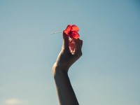 結婚まで考えた最愛の彼を失った私が見つけた、彼以上に大切なもの